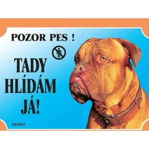 Barevná cedulka Pozor pes Bordeauxská doga Nová Kolekce