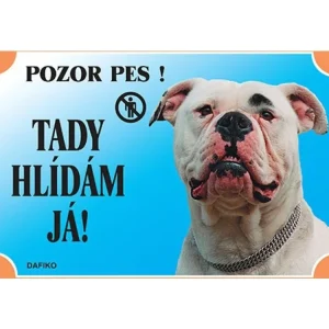 Barevná cedulka Pozor pes Americký buldok Pouze Dnes