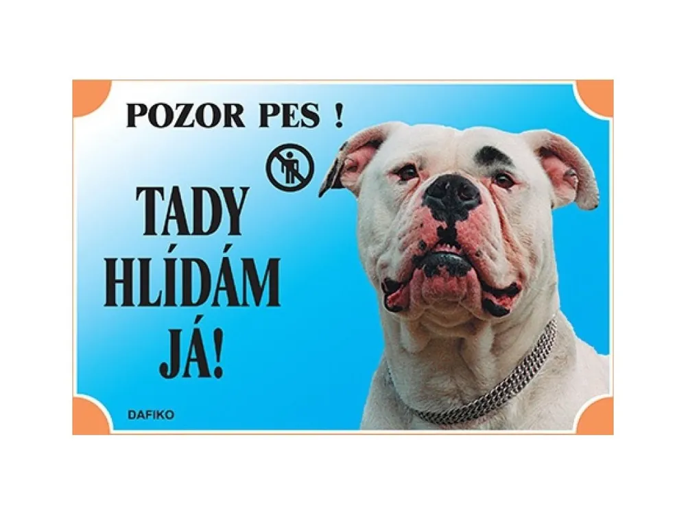 Barevná cedulka Pozor pes Americký buldok Pouze Dnes