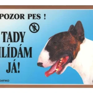 Barevná cedulka Pozor pes Bullterier Akce
