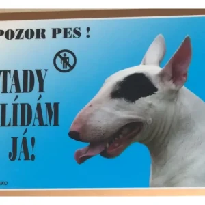 Barevná cedulka Pozor pes Bullterier fena Vrácení Zdarma