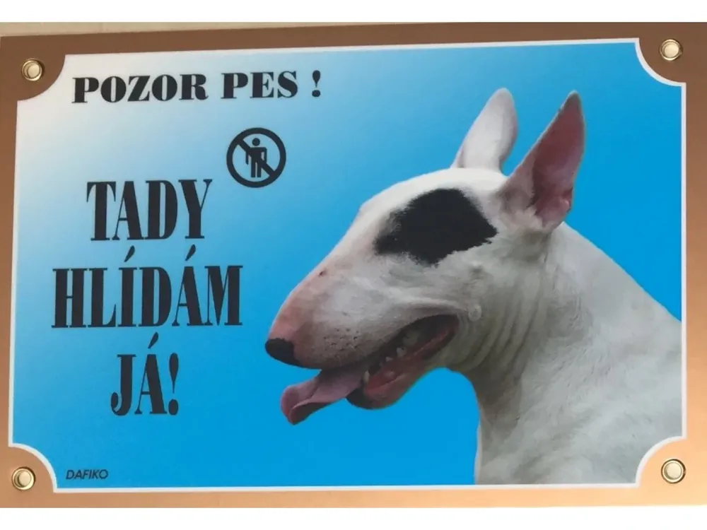 Barevná cedulka Pozor pes Bullterier fena Vrácení Zdarma