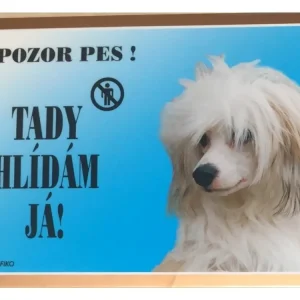 Barevná cedulka Pozor pes Čínský chocholatý pes Hit Sezóny