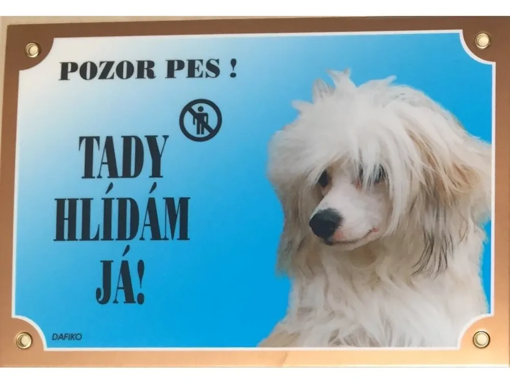 Barevná cedulka Pozor pes Čínský chocholatý pes Hit Sezóny