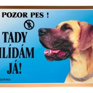 Barevná cedulka Pozor pes Doga německá Výhodná Nabídka