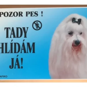Aktuální Barevná cedulka Pozor pes Maltézský pinč