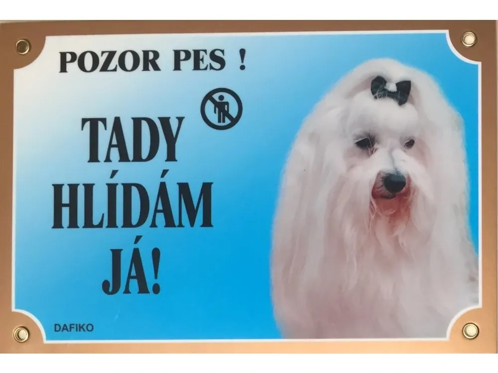 Aktuální Barevná cedulka Pozor pes Maltézský pinč