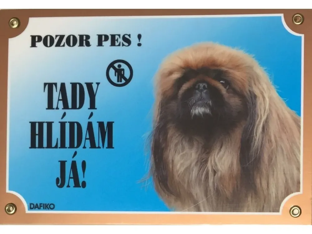 Barevná cedulka Pozor pes Pekinéz Víkendová Akce