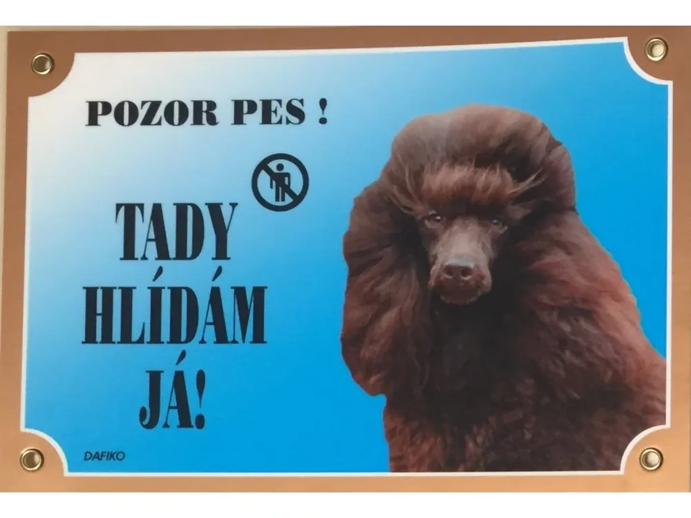 Barevná cedulka Pozor pes Pudl hnědý Nejlepší Cena