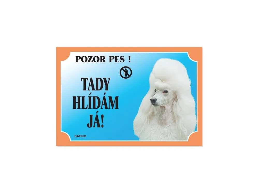 Barevná cedulka Pozor pes Pudl světlý Pouze Dnes
