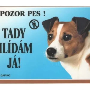 Přímo Od Výrobce Barevná cedulka Pozor pes Jack Russel terier