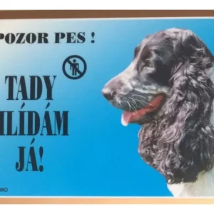 Barevná cedulka Pozor pes Anglický kokr čb Jen Po Omezenou Doba