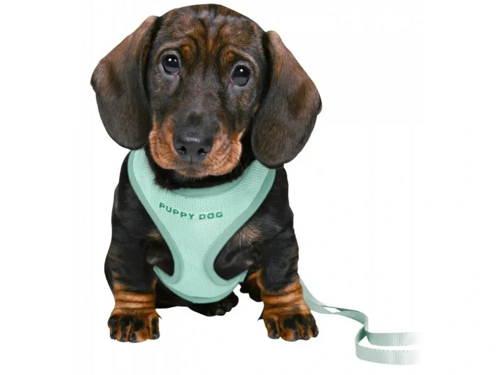 Akční Nabídka JUNIOR puppy souprava, měkký postroj 26-34cm/10mm + vodítko 2,00m/10mm - mátová