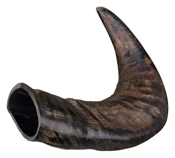 Originální buvolí žvýkací roh, velký Oblíbený