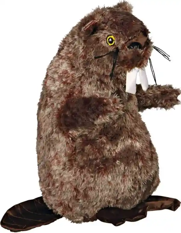 Finální Výprodej Plyšový bobr 40cm