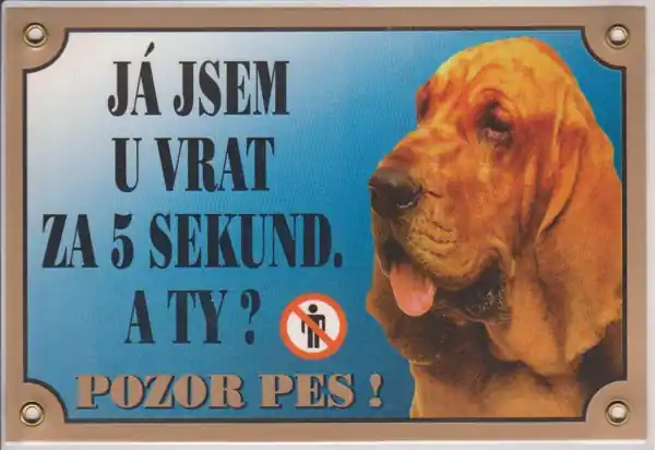 Výhodná Nabídka Tabulka Bladhaund