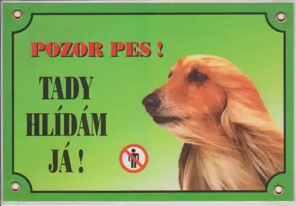 Tabulka Afgánský chrt Akce