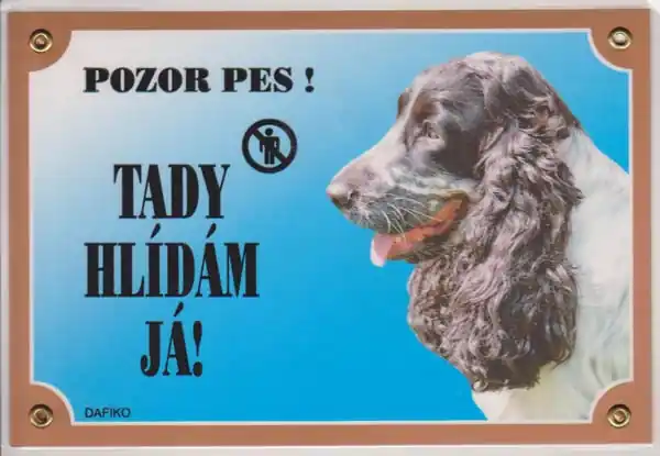Časově Omezené Tabulka Anglický kokr černý