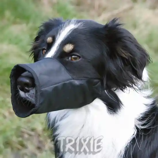 Akční Nabídka Náhubek nylon ochranný