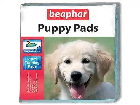Aktuální Podložka hygienická Bea puppy