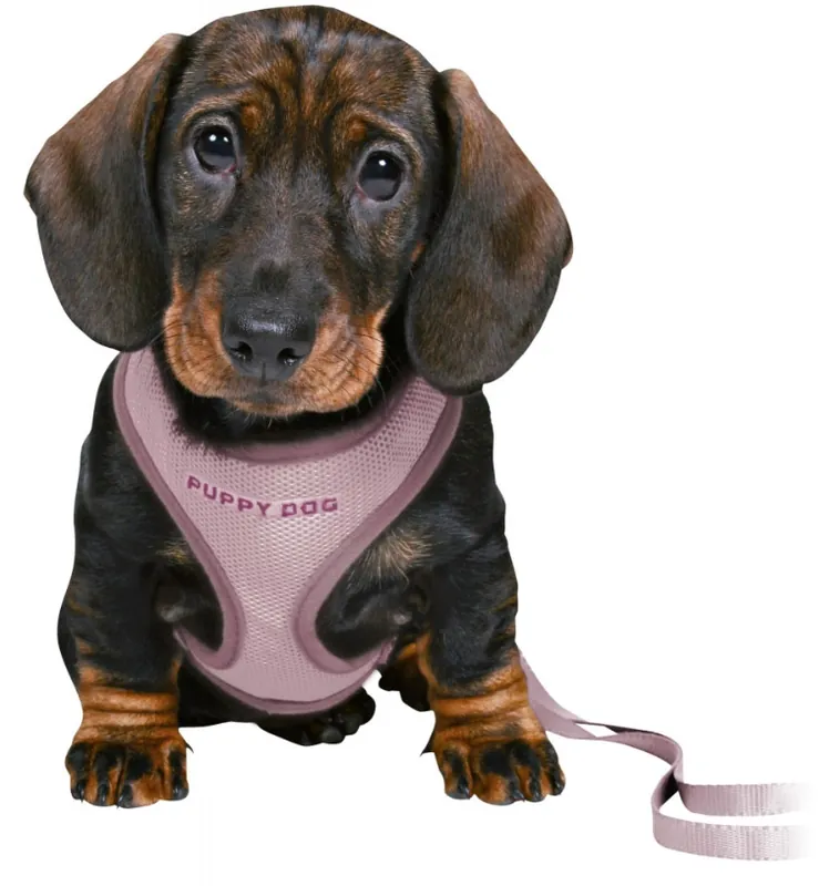 Nízká Cena Postroj Puppy Soft souprava