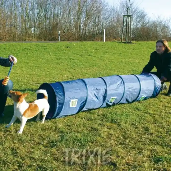 Oblíbený Agility tunel 2m