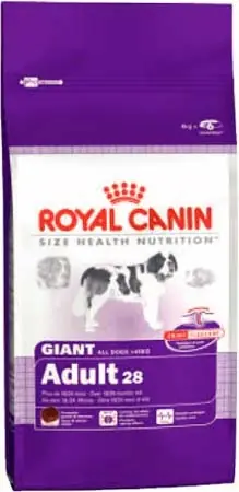 Royal Canin GIANT Adult Speciální Cena