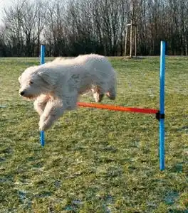 AGILITY překážka, 3 tyče Top Prodej