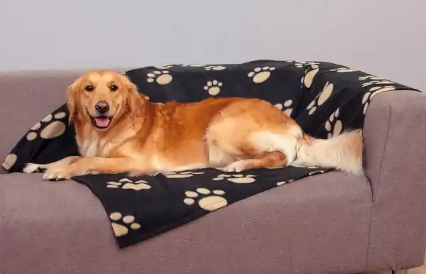 Sleva Fleecová deka Barney