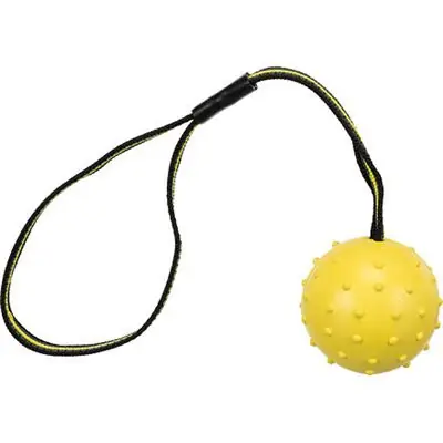 SPORTING míč tvrdý na nylon.pásku, přírodní guma 6 cm/35 cm Vrácení Zdarma