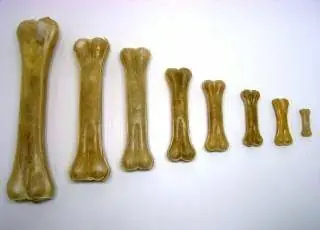 Ověřený Buvolí kost přírodní 5 cm