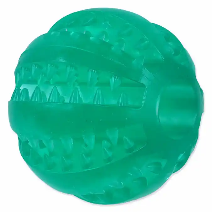 Poslední Šance Míček DOG FANTASY DENTAL MINT zelený 6cm