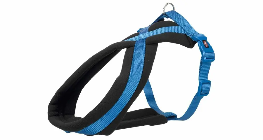 Nylonový postroj PREMIUM podšitý velikost M – královská modrá Jen Po Omezenou Doba